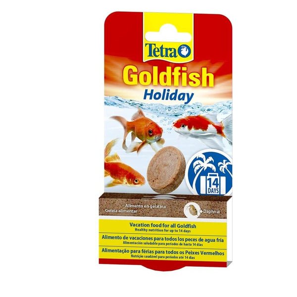 Tetra Goldfish Holiday Blocks